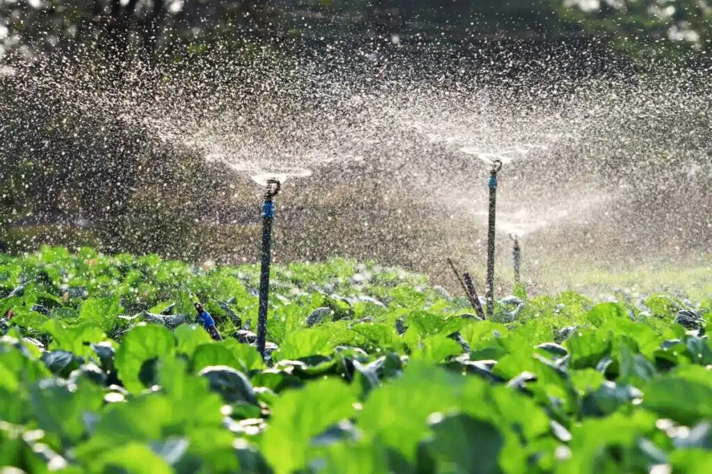 Riego Agrícola ROLUPUMPS